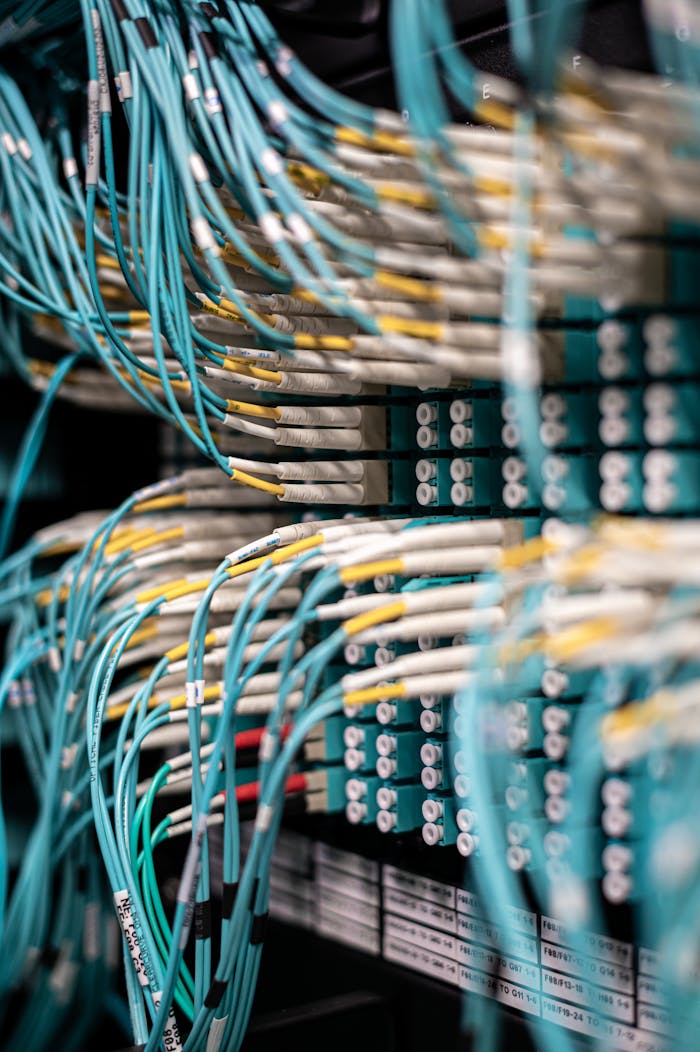 team-04 Rows of blue cables and wires plugged into server patch panel located in modern data center framework